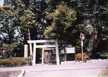 䑂i